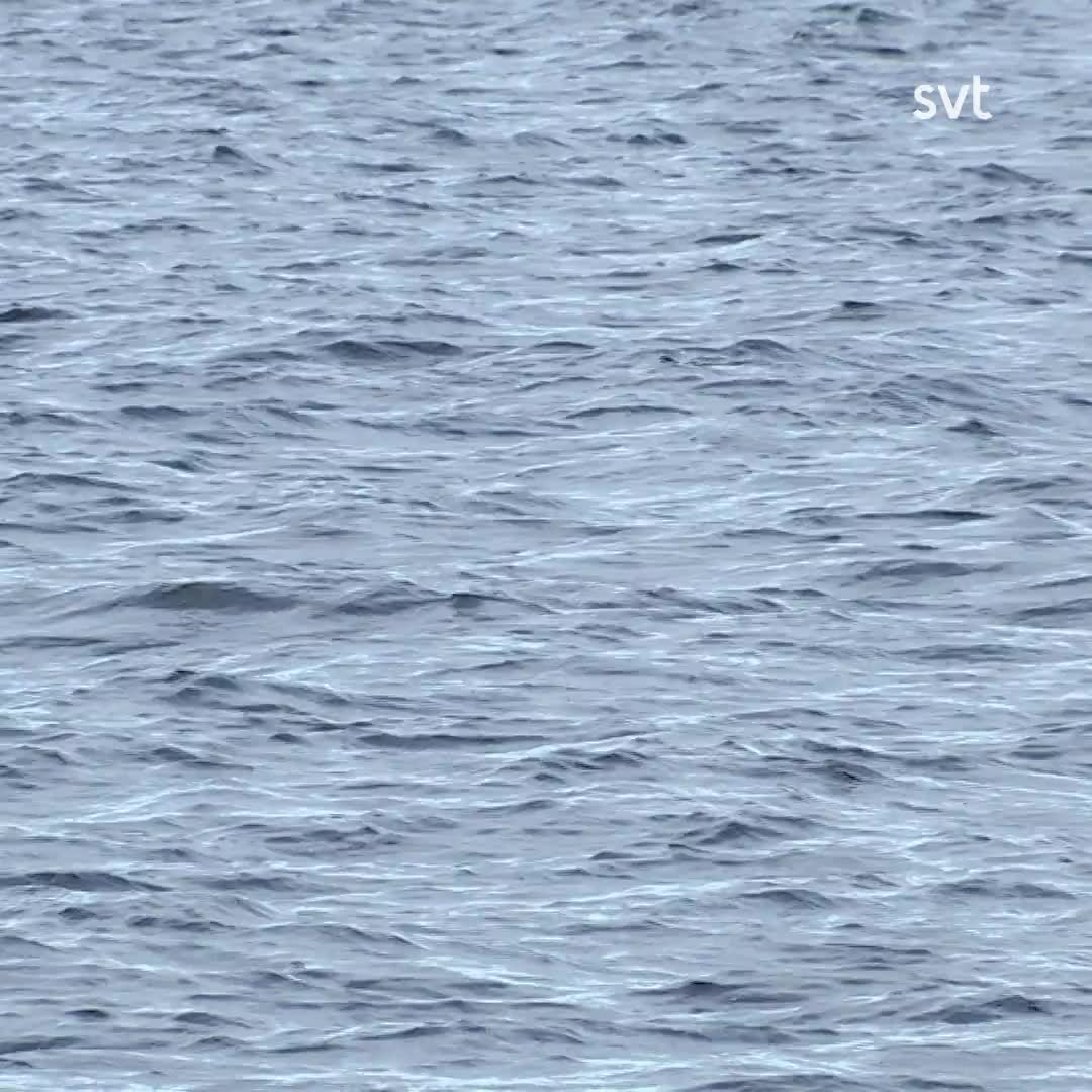 Tio år efter utbrottet hade många fortfarande besvär av utbrottet av Cryptosporidium i Östersund